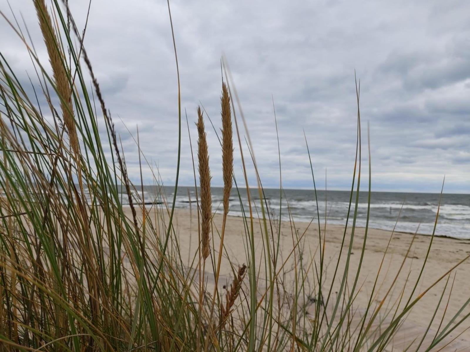 Ferienhaus Usedom Familie Stopp Haus 22 Lutow Exterior foto